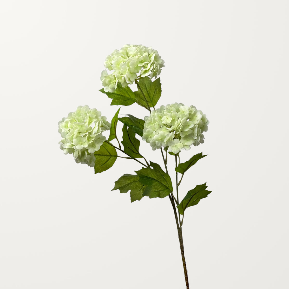 Snowball Hydrangea – Ivory Green (Real Touch) - view 2