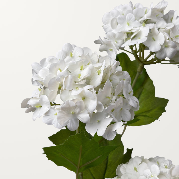Snowball Hydrangea – White (Real Touch) - view 3