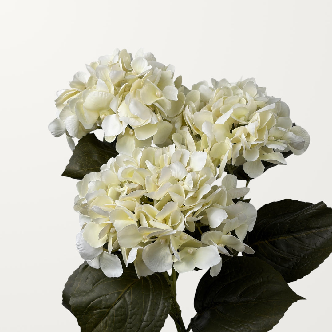 Aloha Hydrangea – Ivory White (Real Touch) - view 3