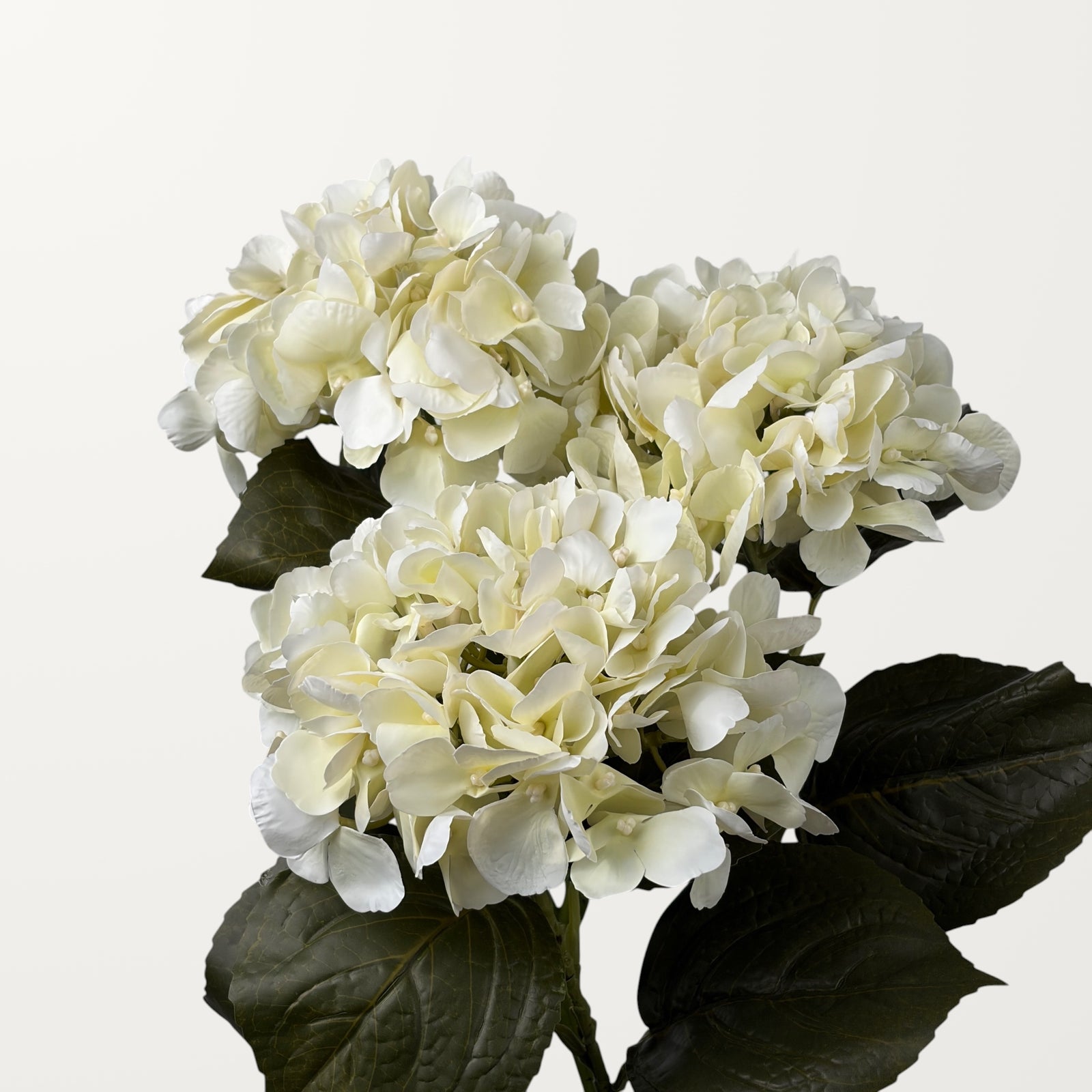 Aloha Hydrangea – Ivory White (Real Touch) - view 3