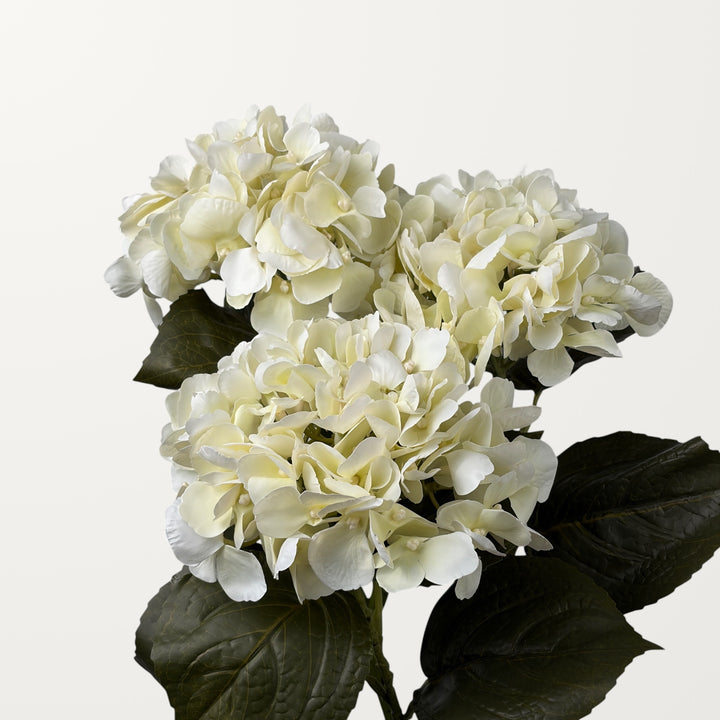 Aloha Hydrangea – Ivory White (Real Touch) - view 3