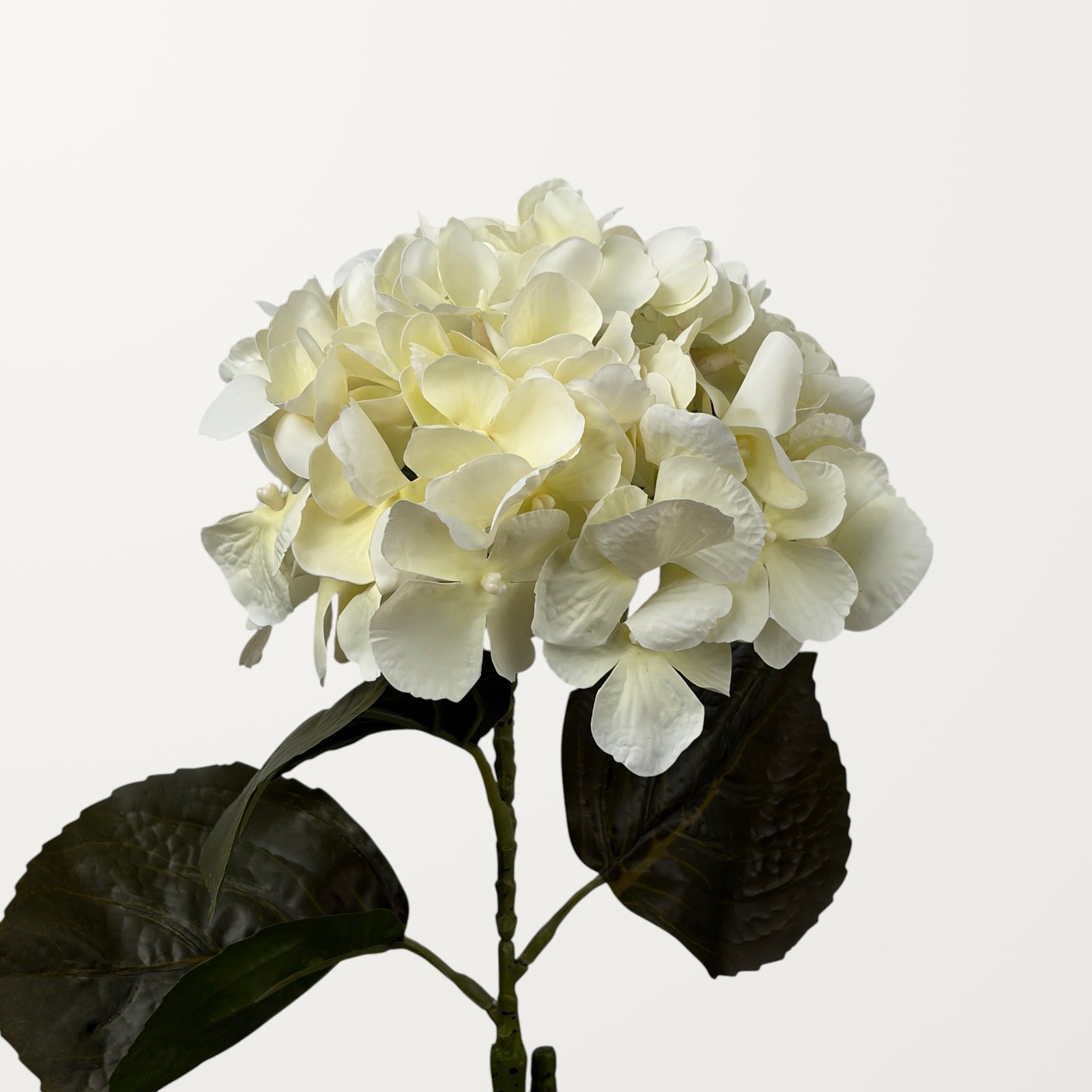 Aloha Hydrangea – Ivory White (Real Touch)
