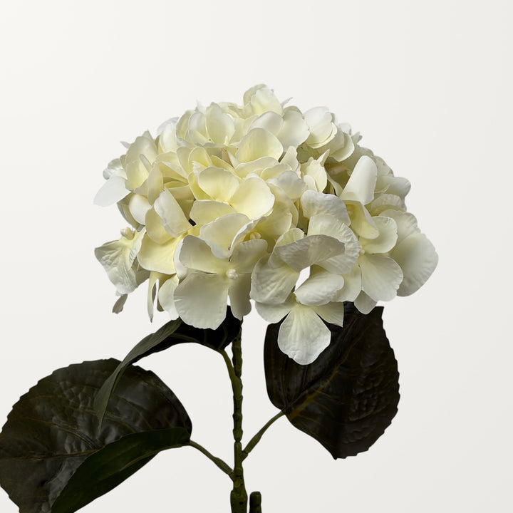 Aloha Hydrangea – Ivory White (Real Touch)