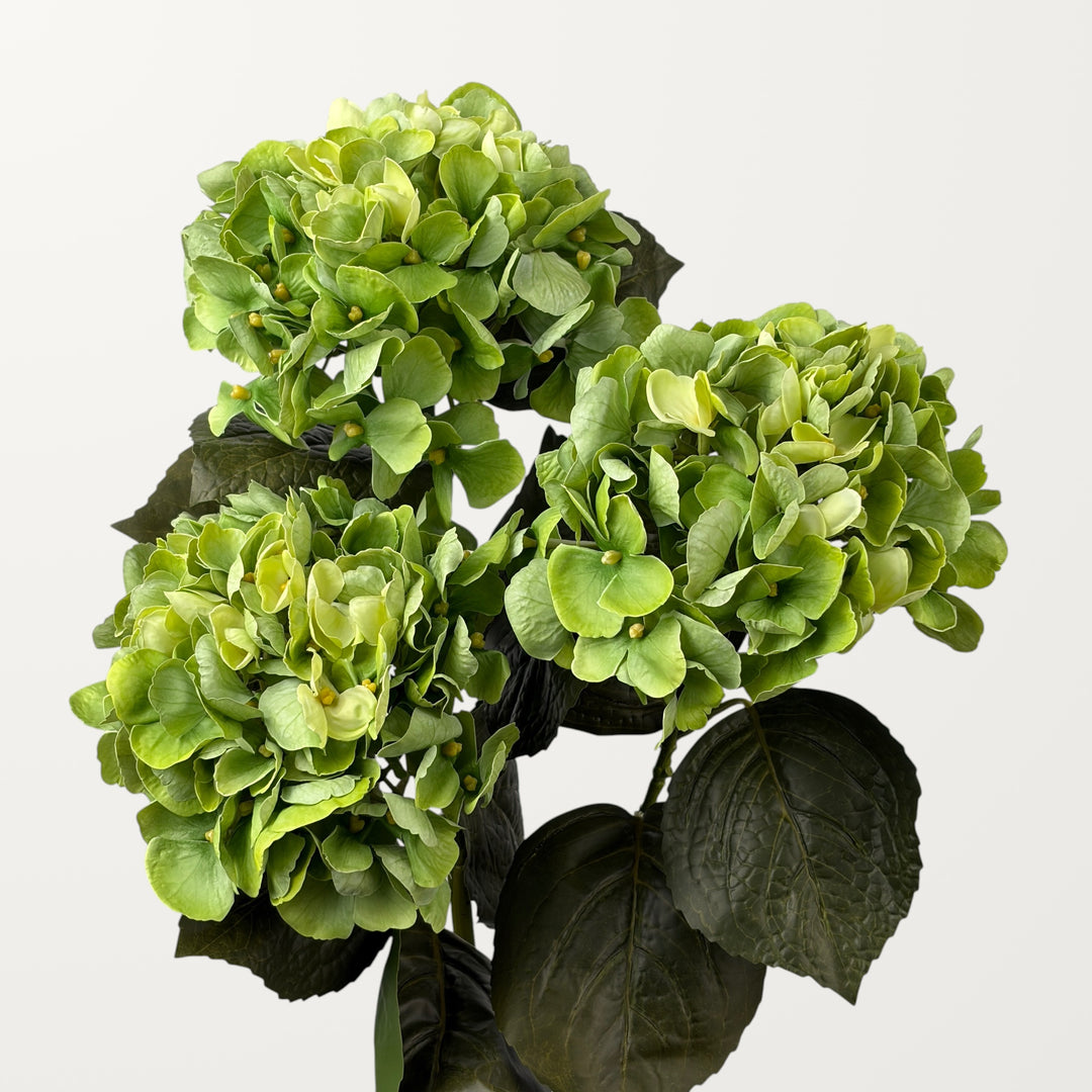 Aloha Hydrangea – Spring Green (Real Touch) - view 3