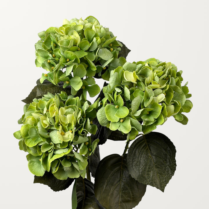 Aloha Hydrangea – Spring Green (Real Touch) - view 3