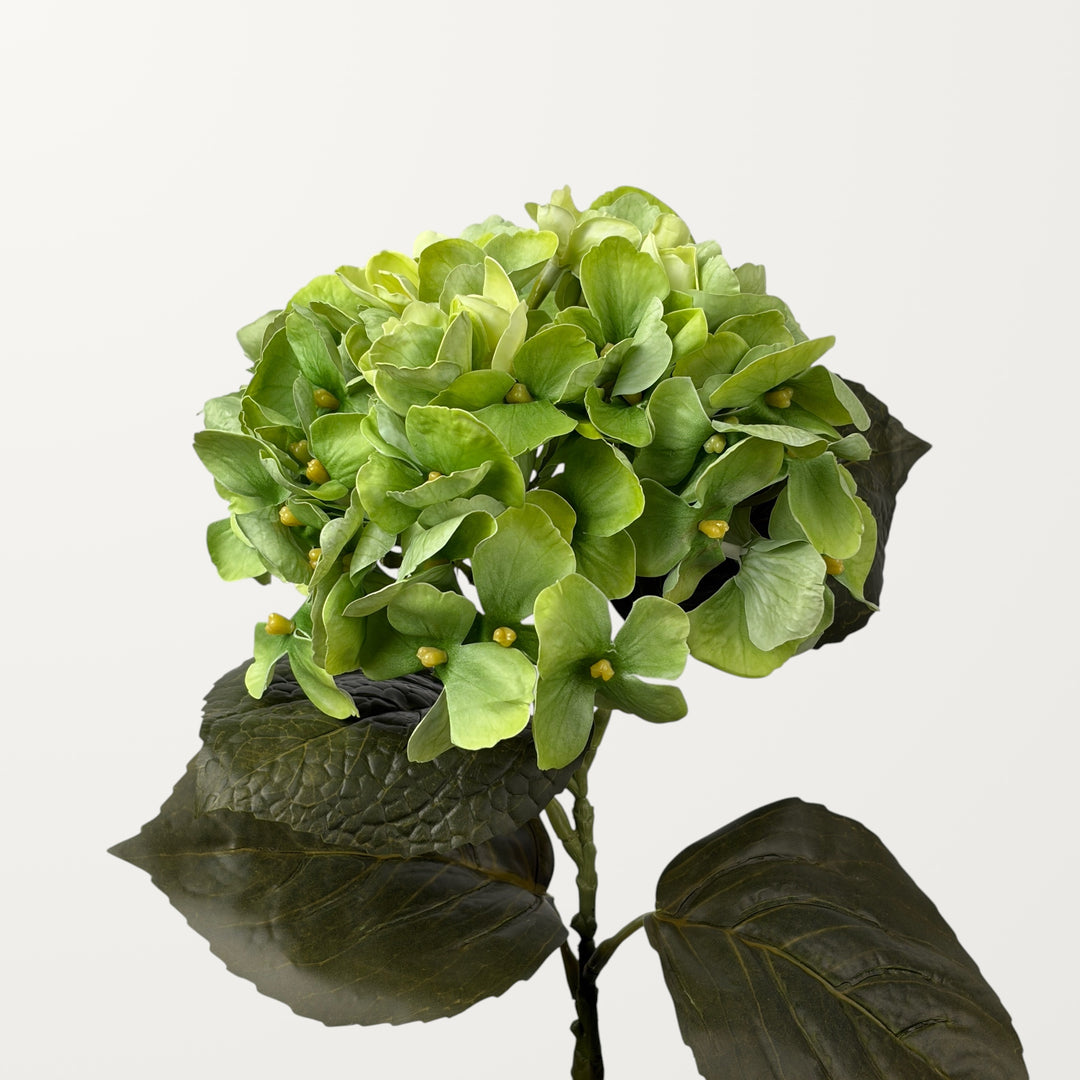 Aloha Hydrangea – Spring Green (Real Touch)