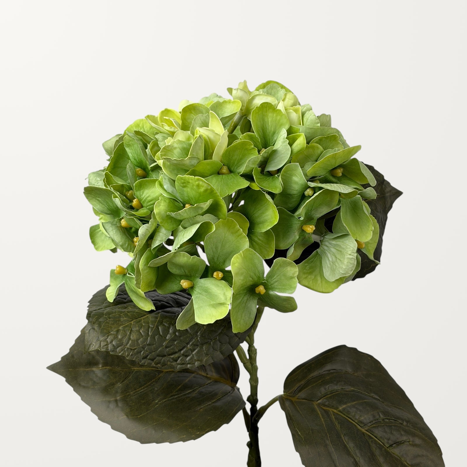 Aloha Hydrangea – Spring Green (Real Touch)