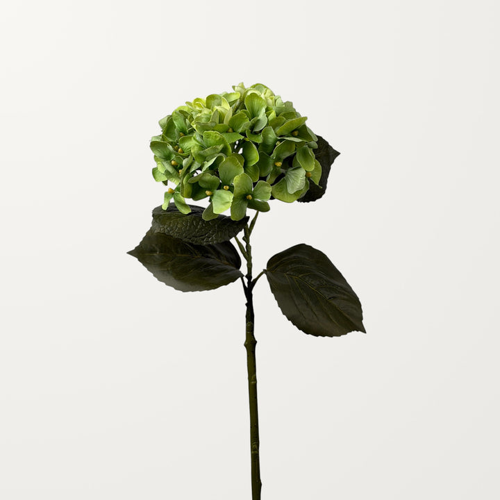 Aloha Hydrangea – Spring Green (Real Touch) - view 2