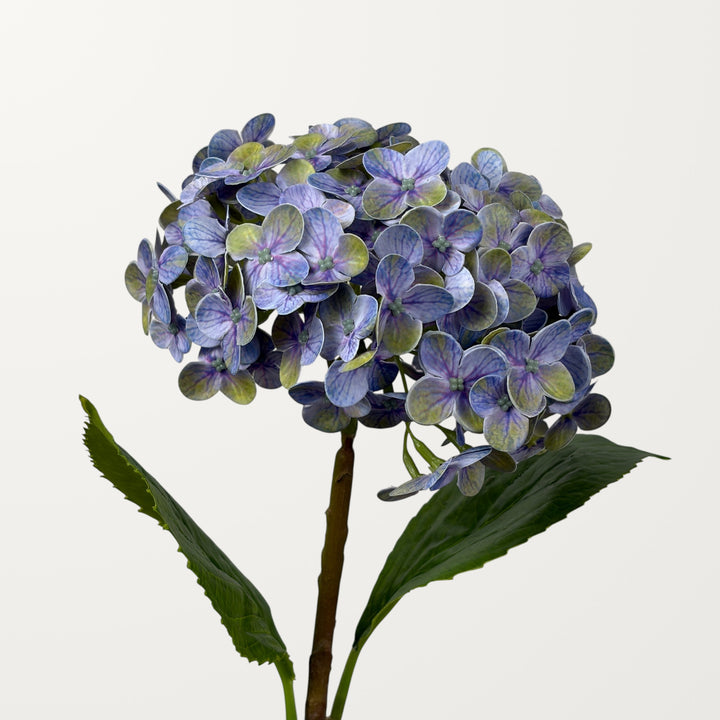 Annabelle Hydrangea – Purple Blue (Real Touch)
