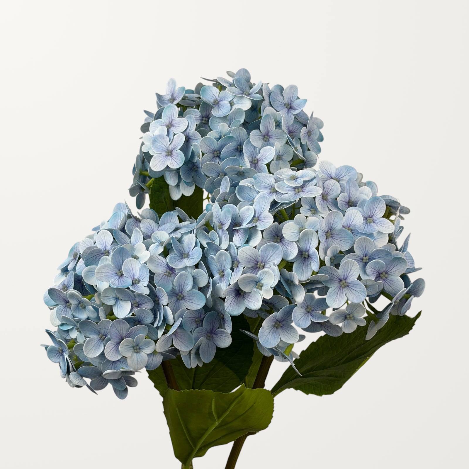 Annabelle Hydrangea – Sky Blue (Real Touch) - view 3