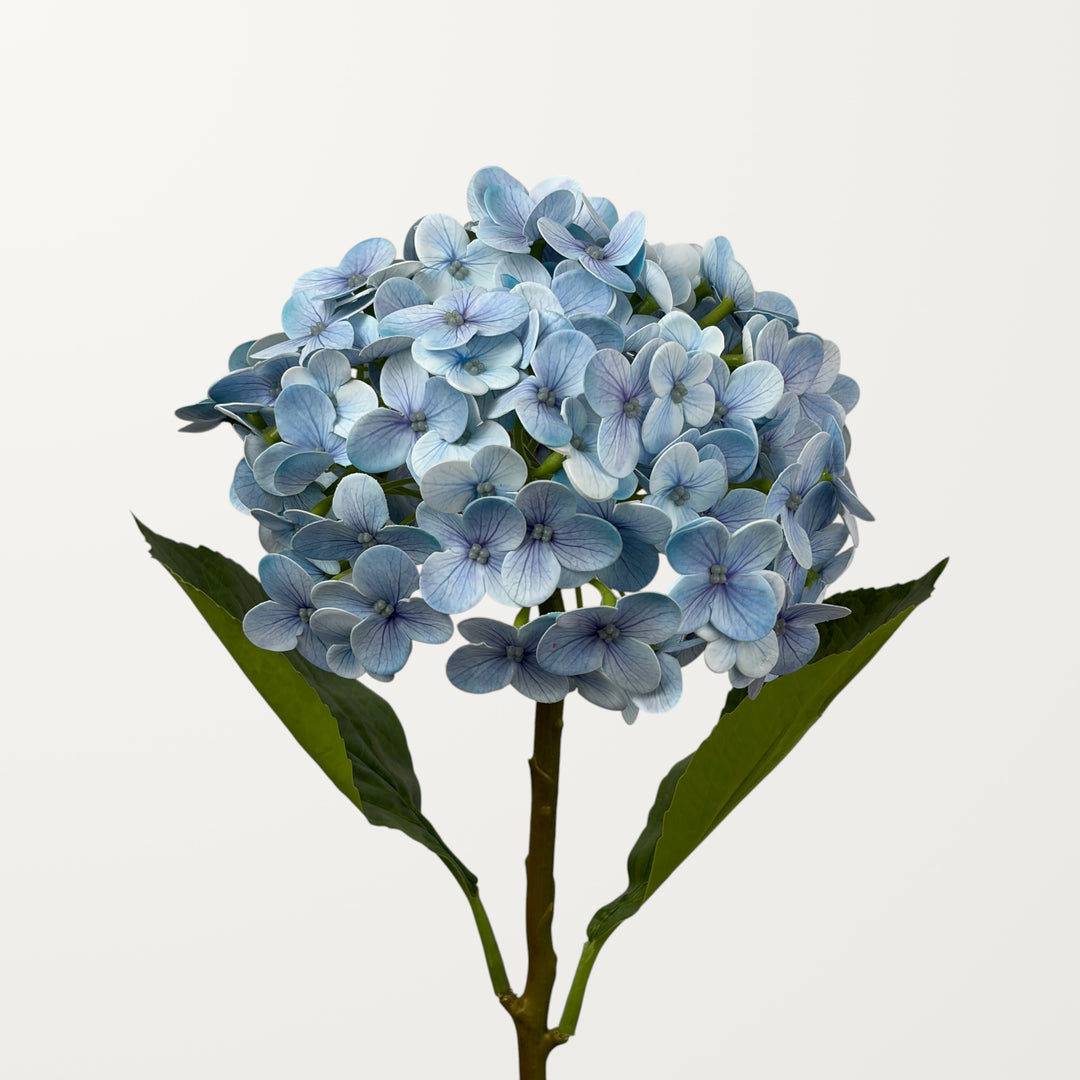 Annabelle Hydrangea – Sky Blue (Real Touch)