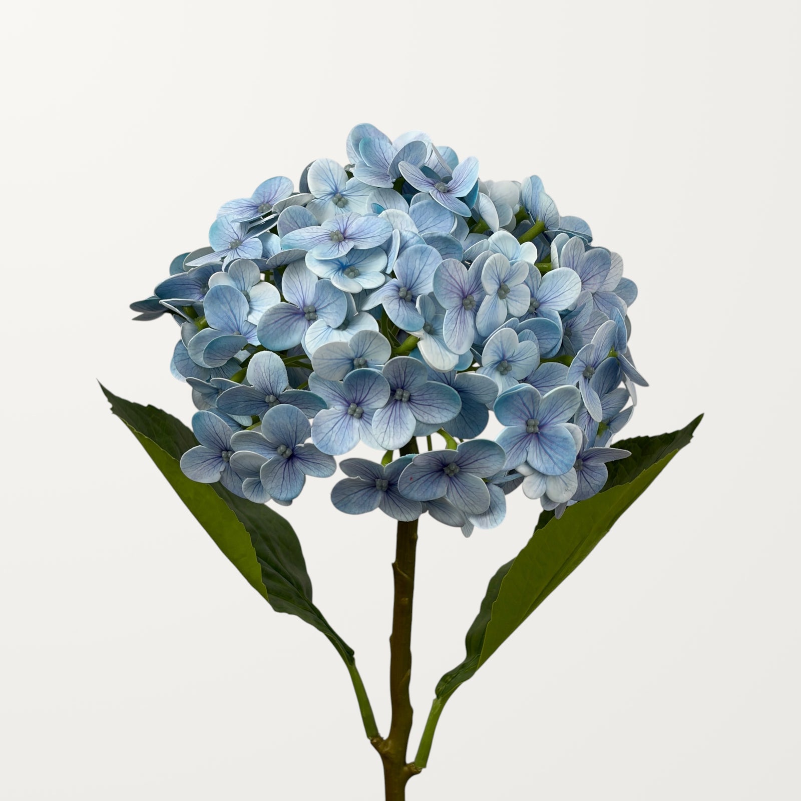 Annabelle Hydrangea – Sky Blue (Real Touch)