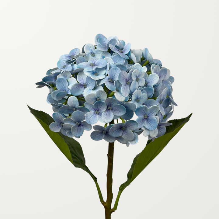 Annabelle Hydrangea – Sky Blue (Real Touch)