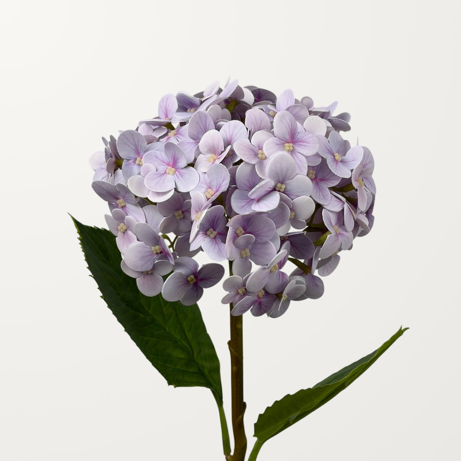 Annabelle Hydrangea – Soft Lavender (Real Touch)