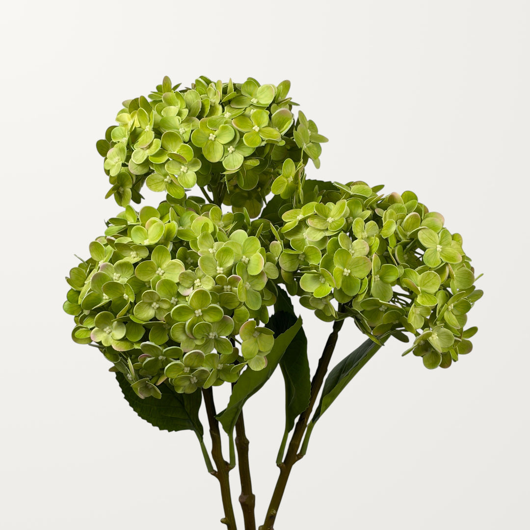 Annabelle Hydrangea – Spring Green (Real Touch) - view 3