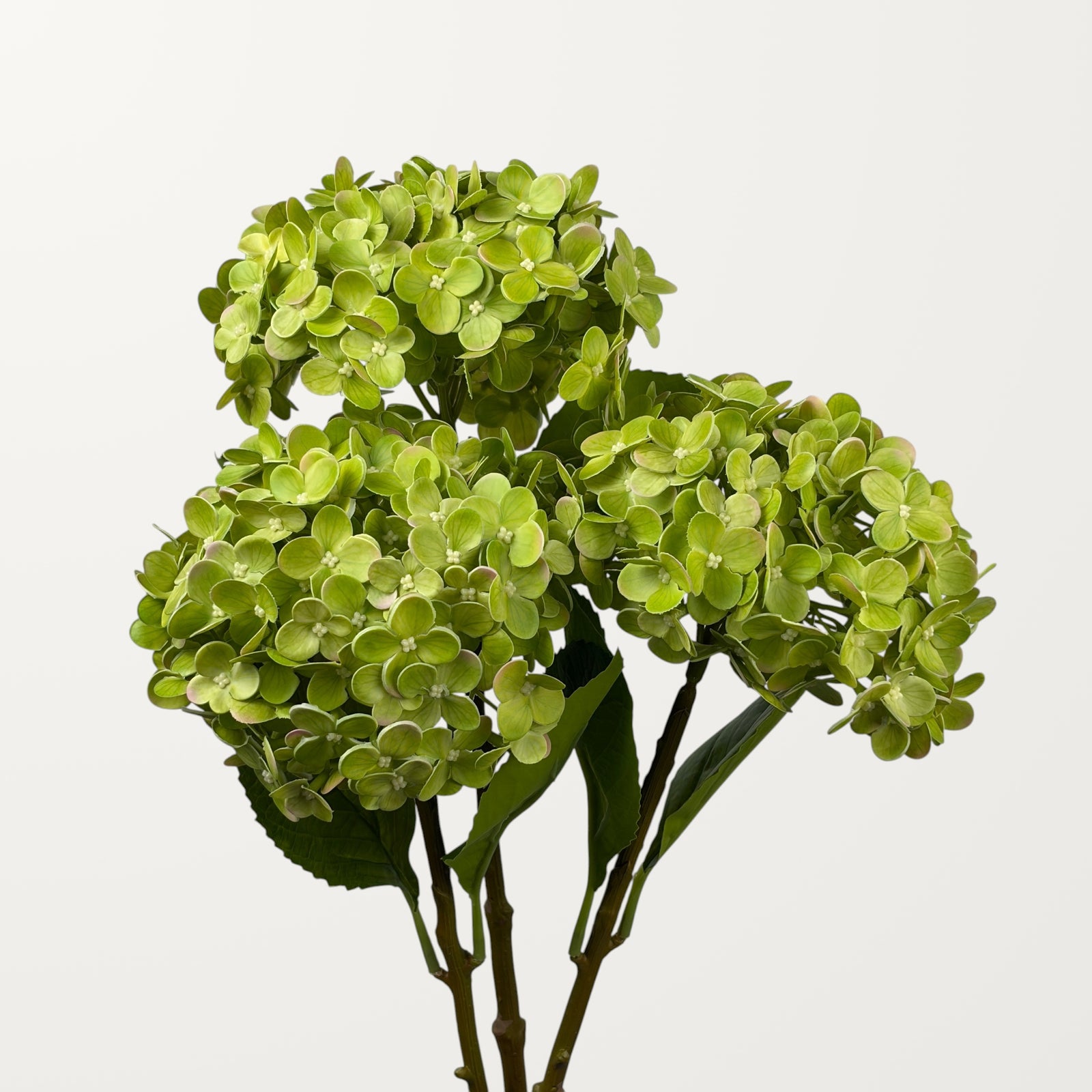 Annabelle Hydrangea – Spring Green (Real Touch) - view 3