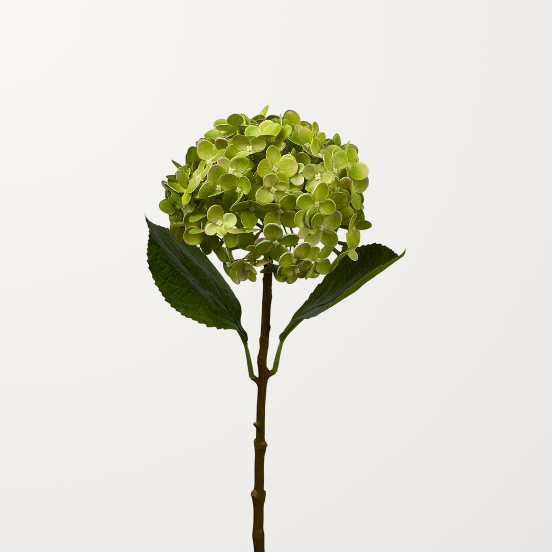 Annabelle Hydrangea – Spring Green (Real Touch) - view 2
