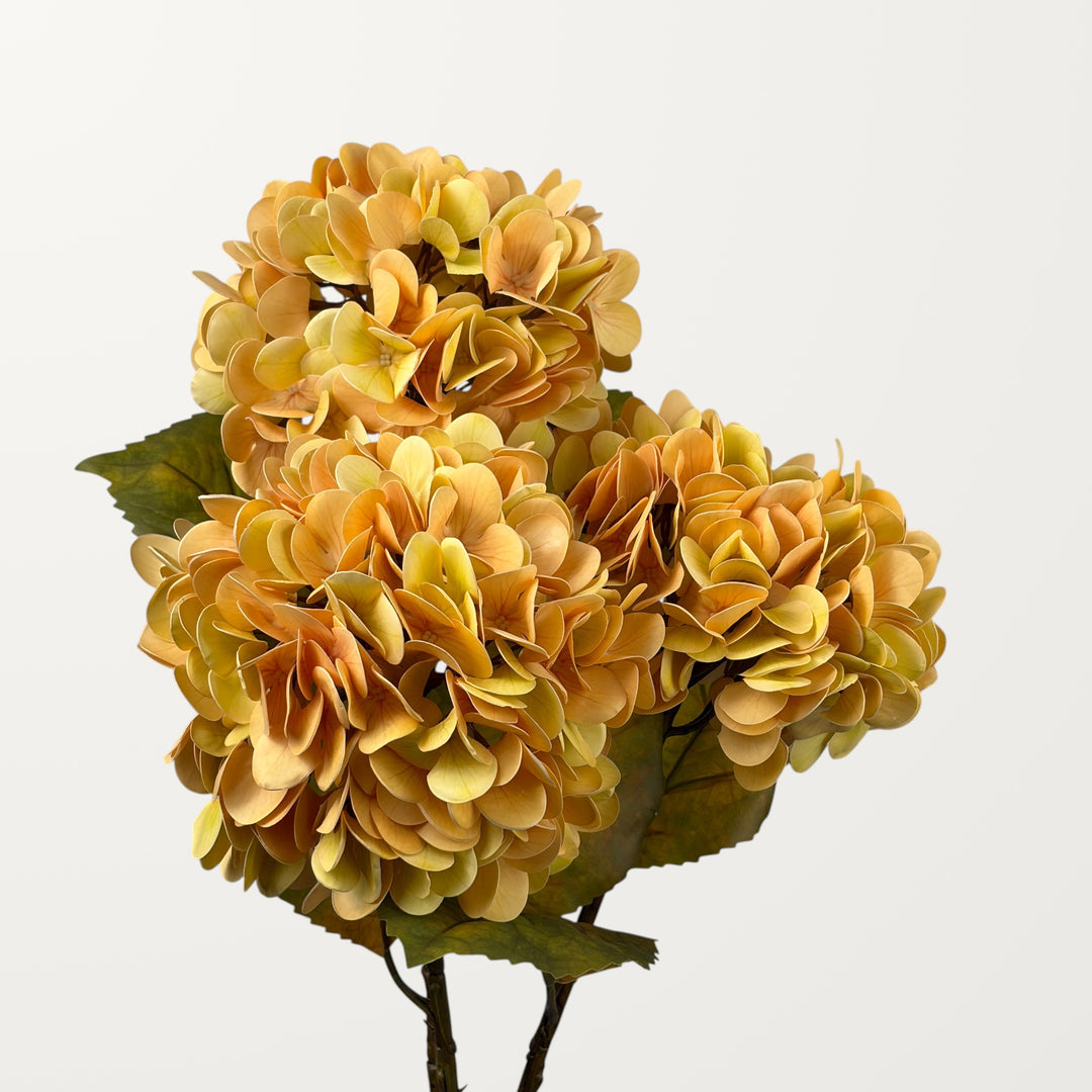 Antique Hydrangea – Champagne (Real Touch) - view 3