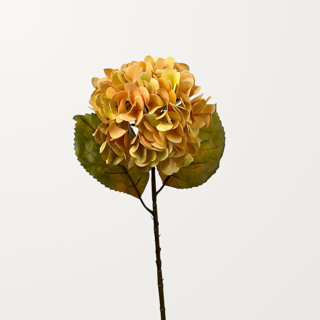 Antique Hydrangea – Champagne (Real Touch) - view 2