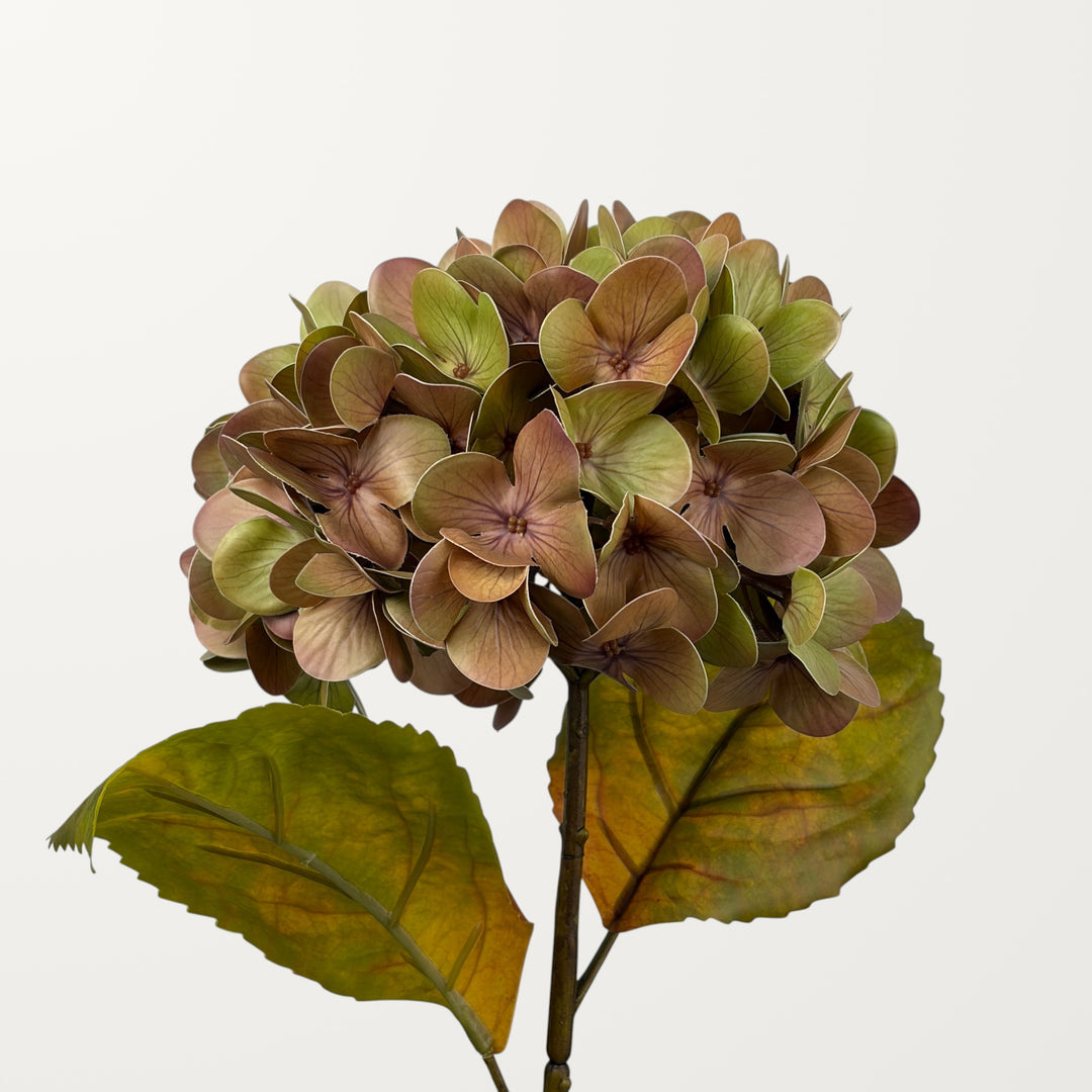 Antique Hydrangea – Moss Green (Real Touch)