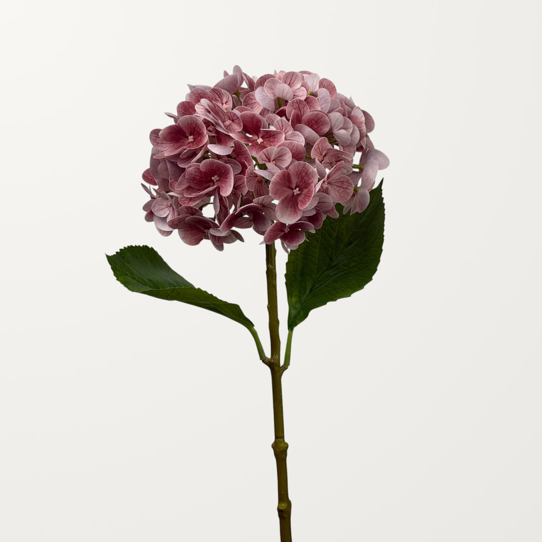 Lush Hydrangea – Dusty Pink (Real Touch) - view 2