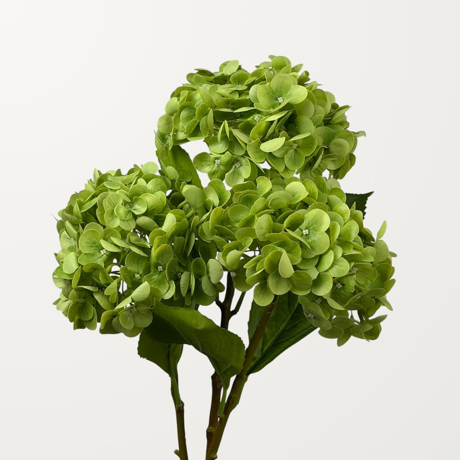 Lush Hydrangea – Green (Real Touch) - view 3