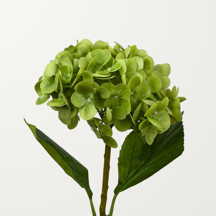 Lush Hydrangea – Green (Real Touch)