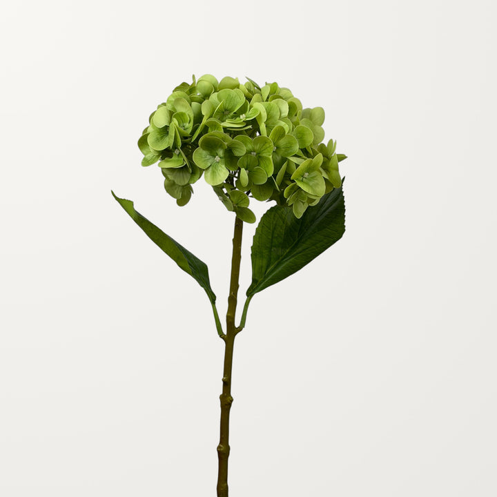Lush Hydrangea – Green (Real Touch) - view 2