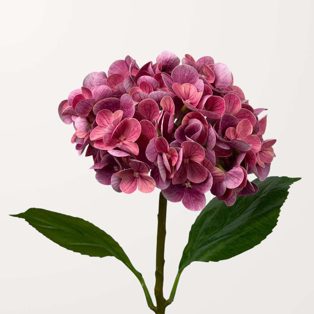 Lush Hydrangea – Magenta (Real Touch)