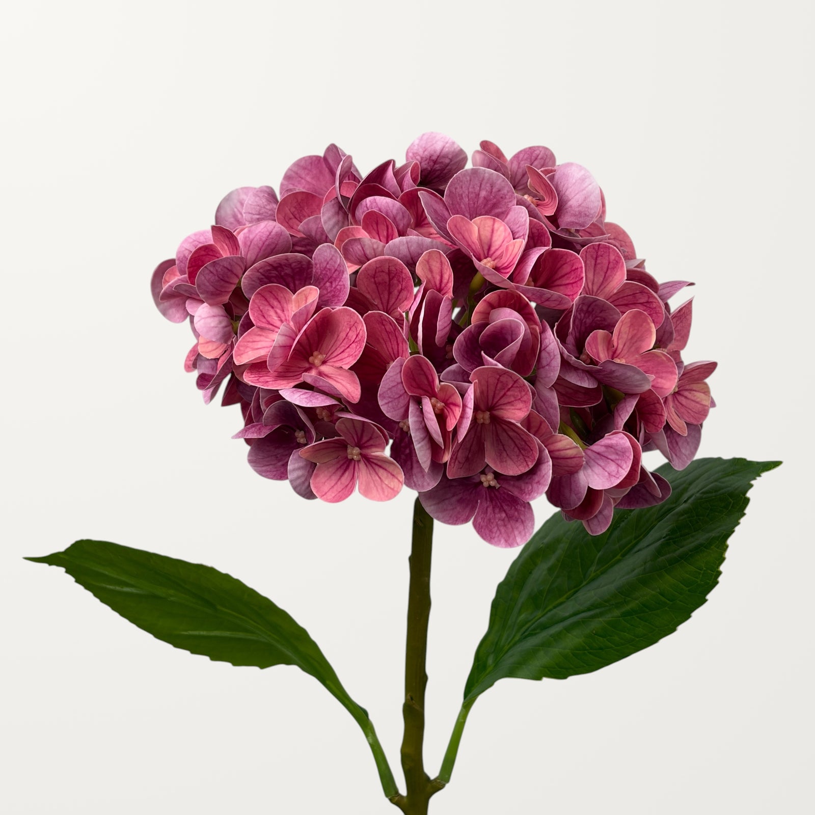 Lush Hydrangea – Magenta (Real Touch)