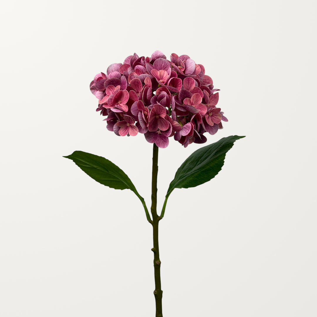 Lush Hydrangea – Magenta (Real Touch) - view 2