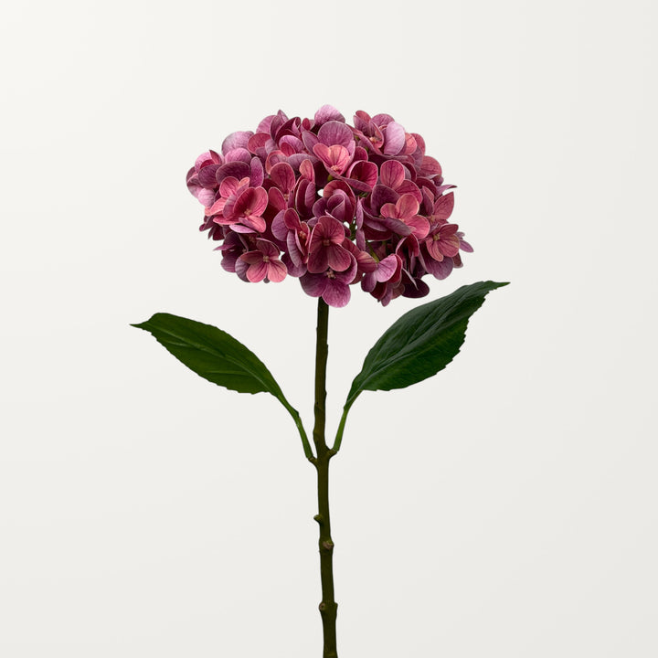 Lush Hydrangea – Magenta (Real Touch) - view 2