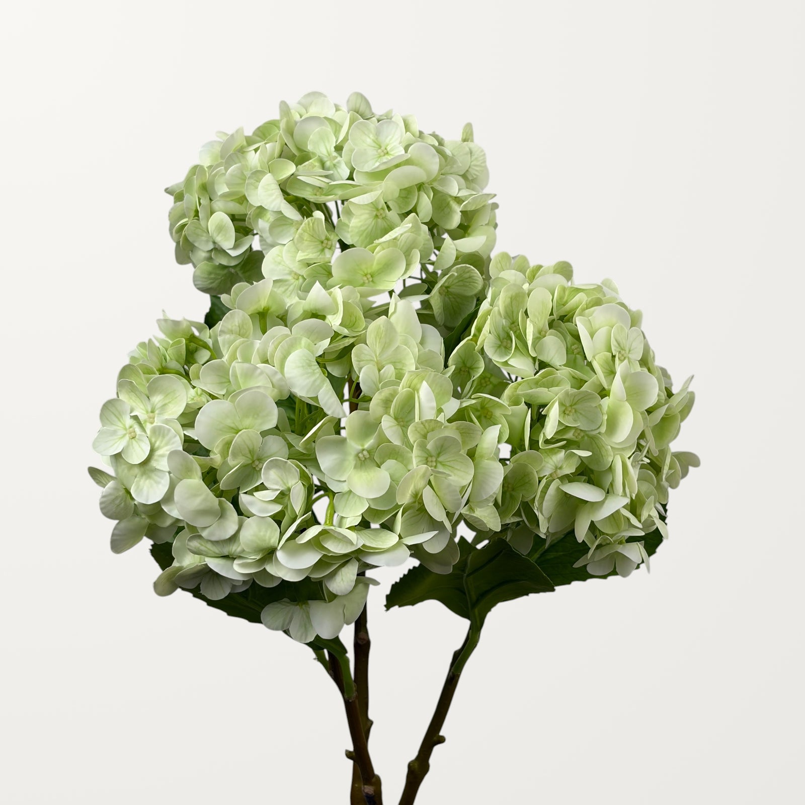 Lush Hydrangea – Spring Green (Real Touch) - view 3