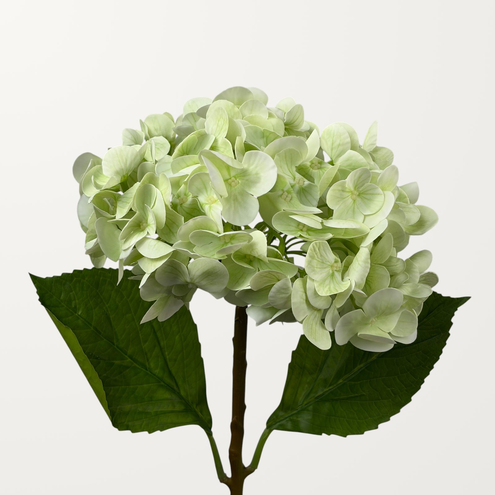 Lush Hydrangea – Spring Green (Real Touch)