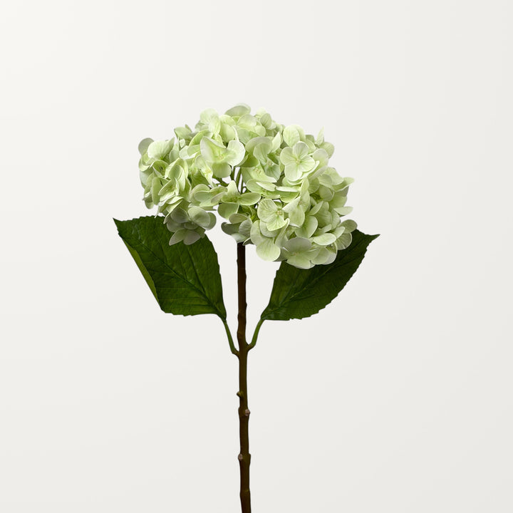 Lush Hydrangea – Spring Green (Real Touch) - view 2