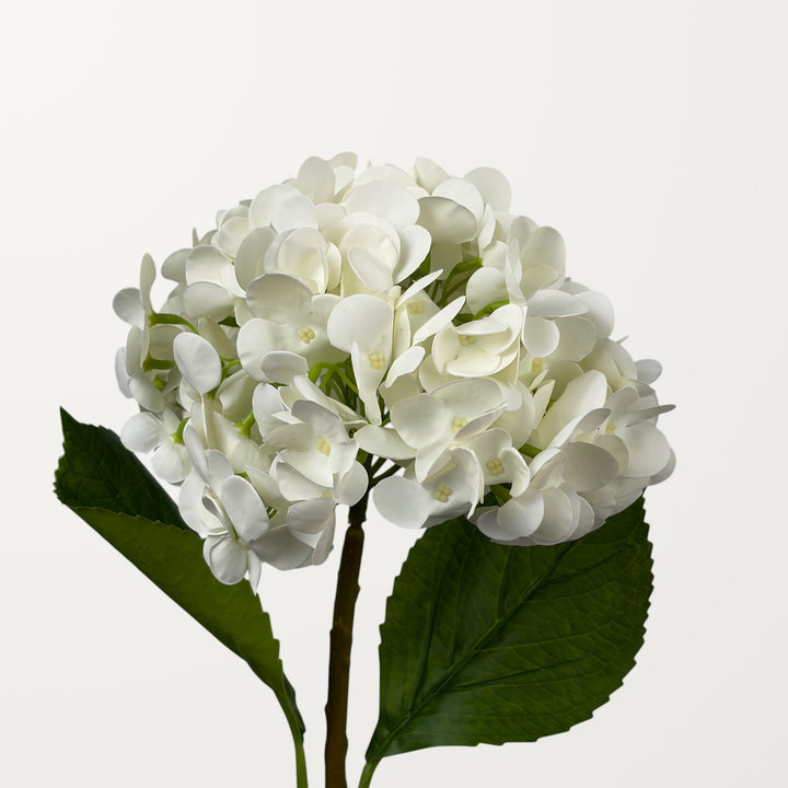 Lush Hydrangea – White (Real Touch)