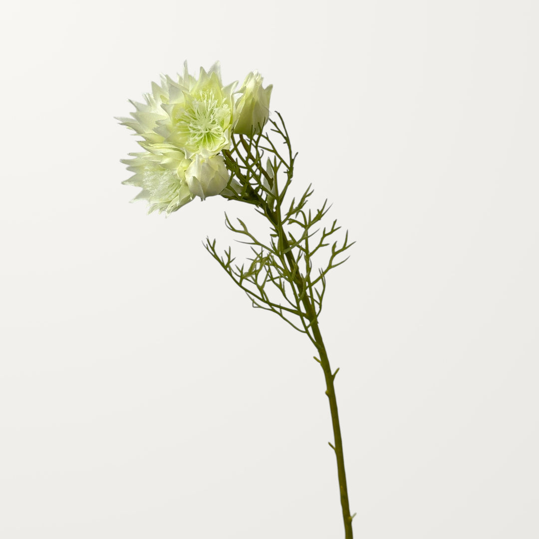 Love-in-a-Mist – White - view 3