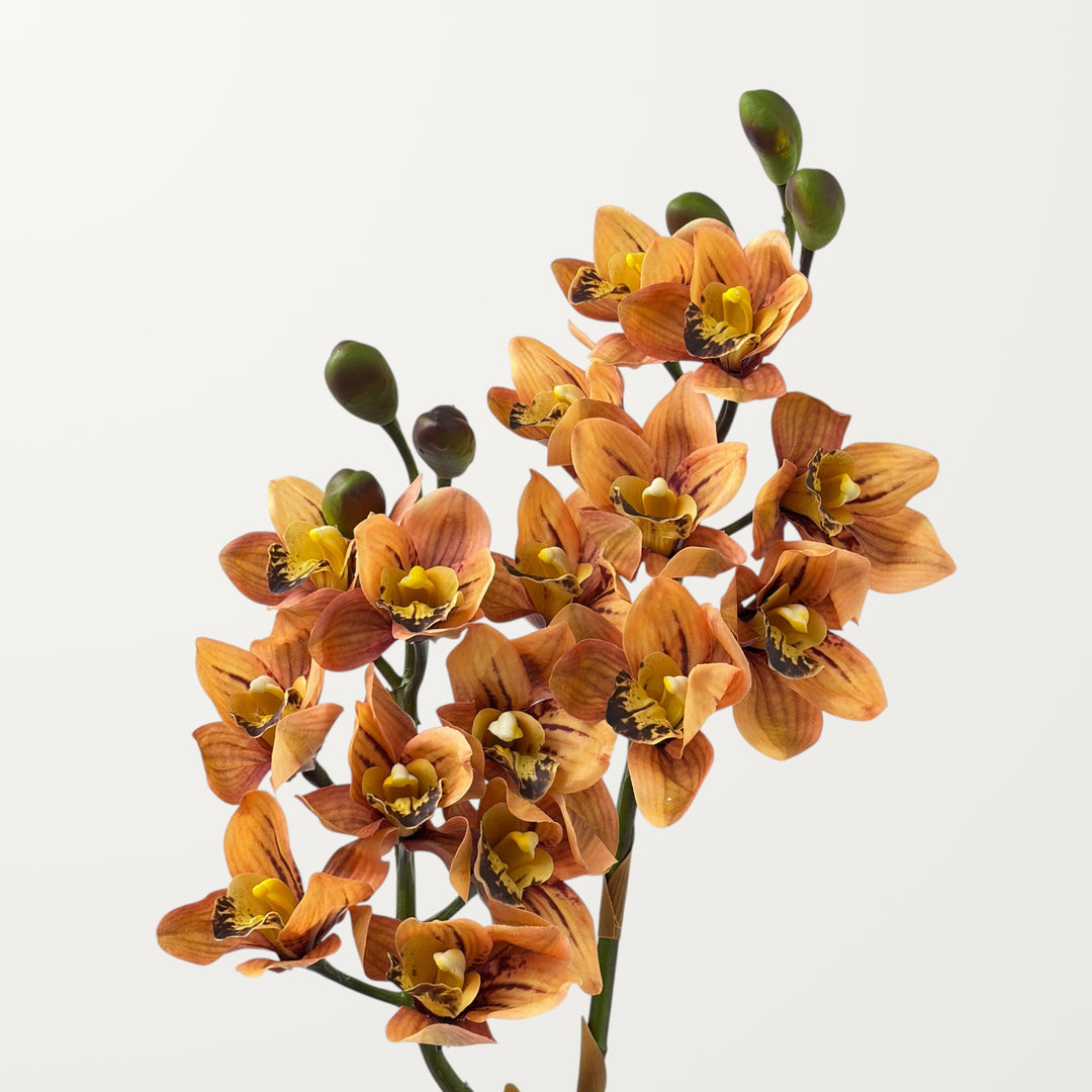Orchid Cymbidium – Burnt Orange (Real Touch)