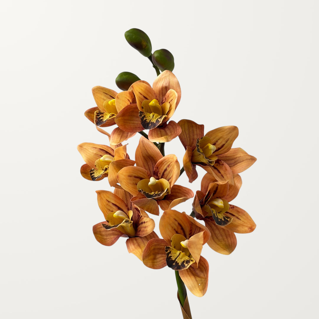 Orchid Cymbidium – Burnt Orange (Real Touch)