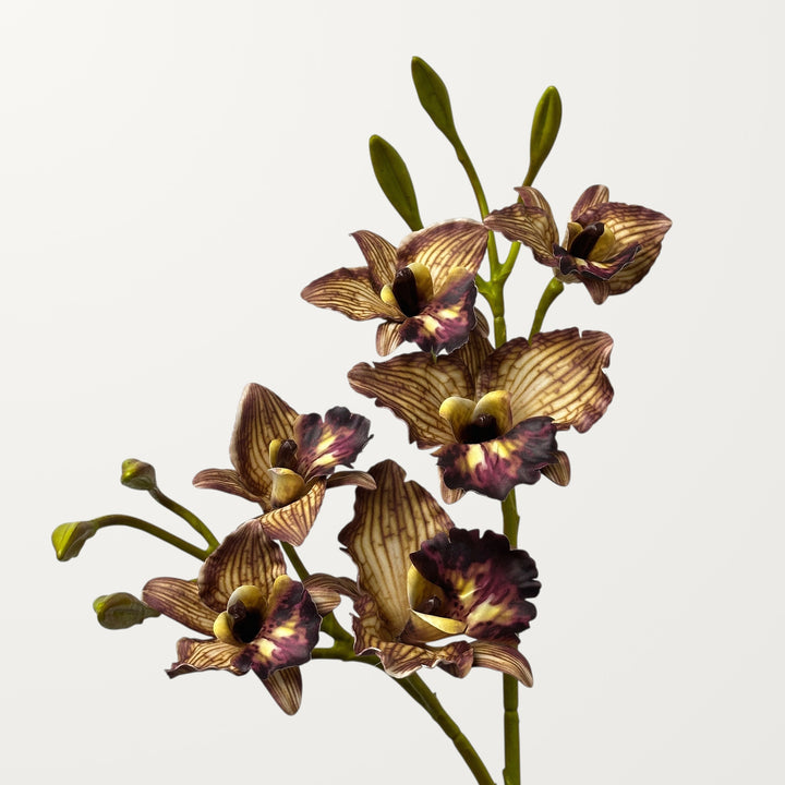 Cattleya Orchid – Chestnut (Real Touch) - view 2