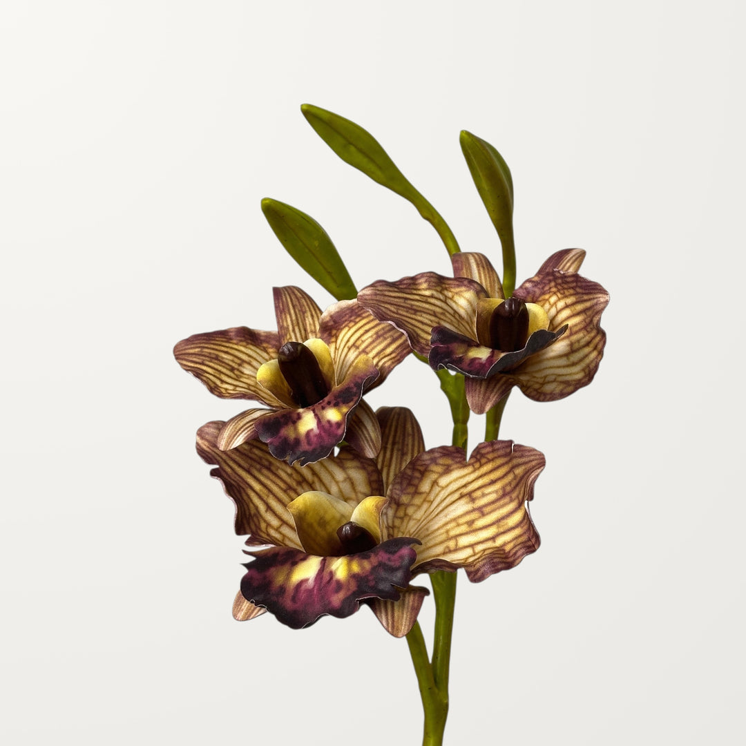 Cattleya Orchid – Chestnut (Real Touch)