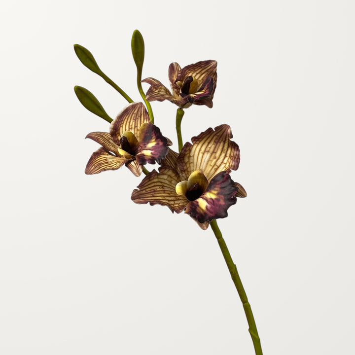 Cattleya Orchid – Chestnut (Real Touch) - view 3