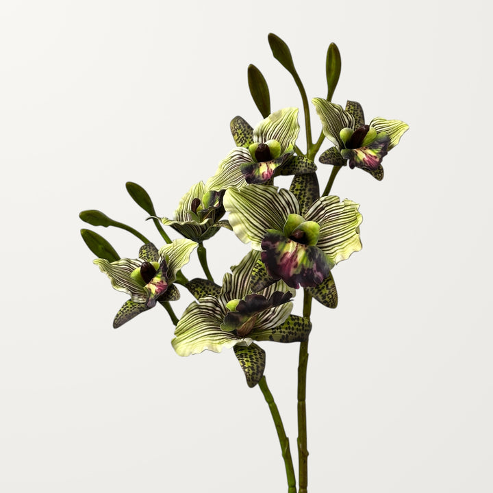 Cattleya Orchid – Moss Green (Real Touch) - view 2