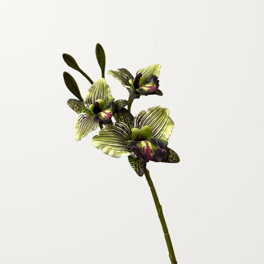 Cattleya Orchid – Moss Green (Real Touch) - view 3