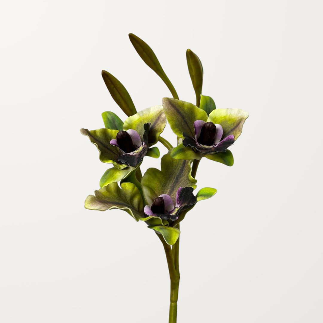 Cattleya Orchid – Olive Green (Real Touch)
