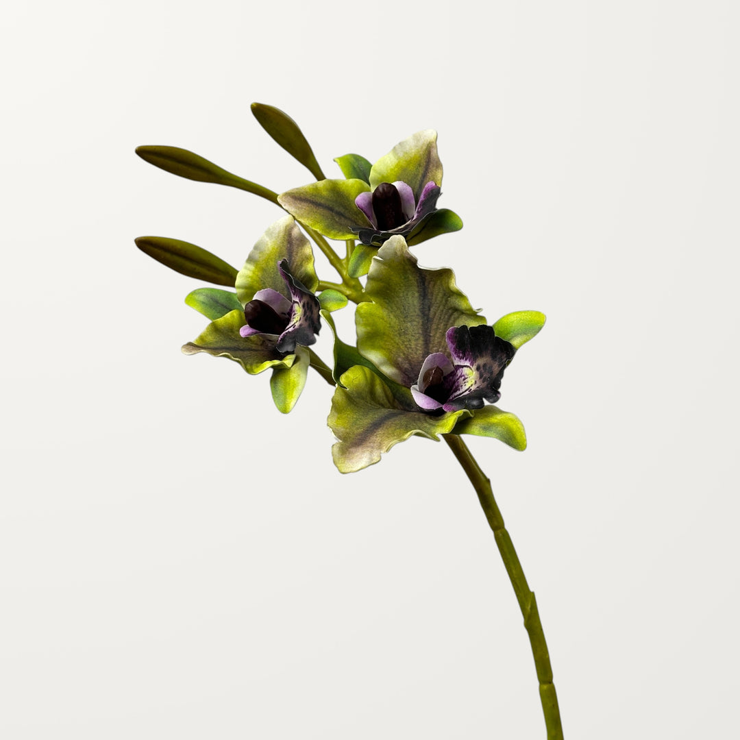Cattleya Orchid – Olive Green (Real Touch) - view 3