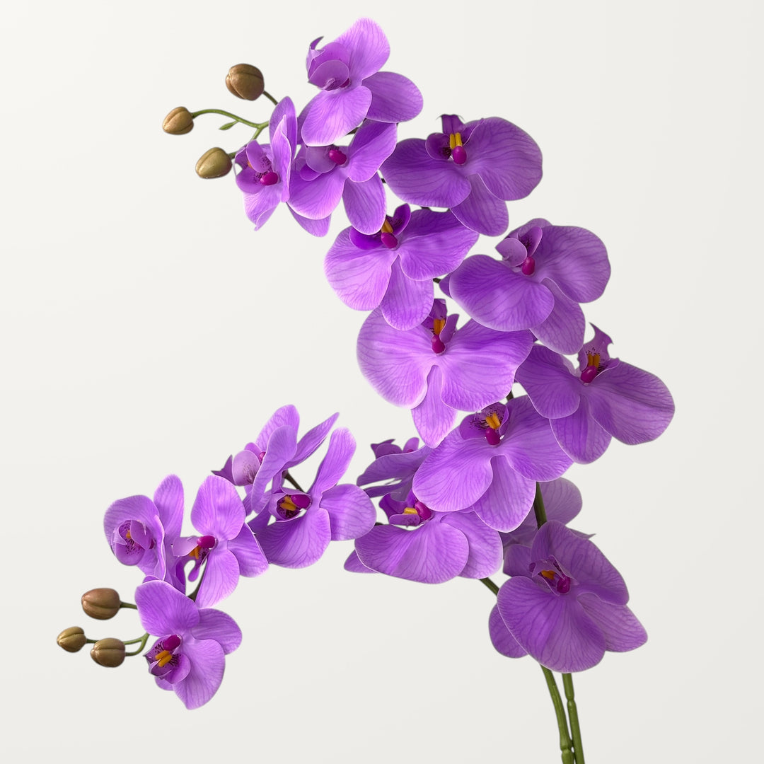 Phalaenopsis Orchid Large – Lavender (Real Touch) - view 2