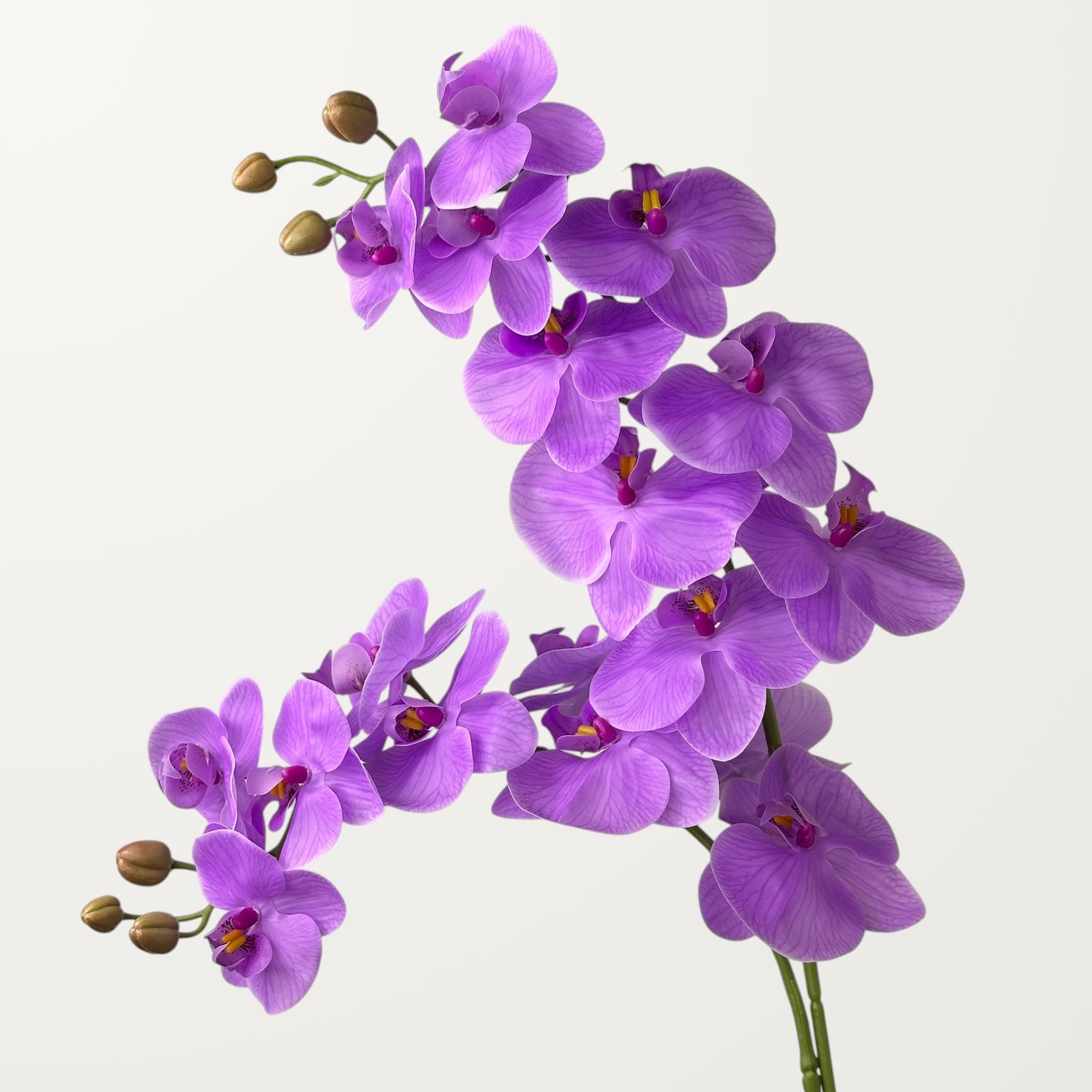 Phalaenopsis Orchid Large – Lavender (Real Touch) - view 2