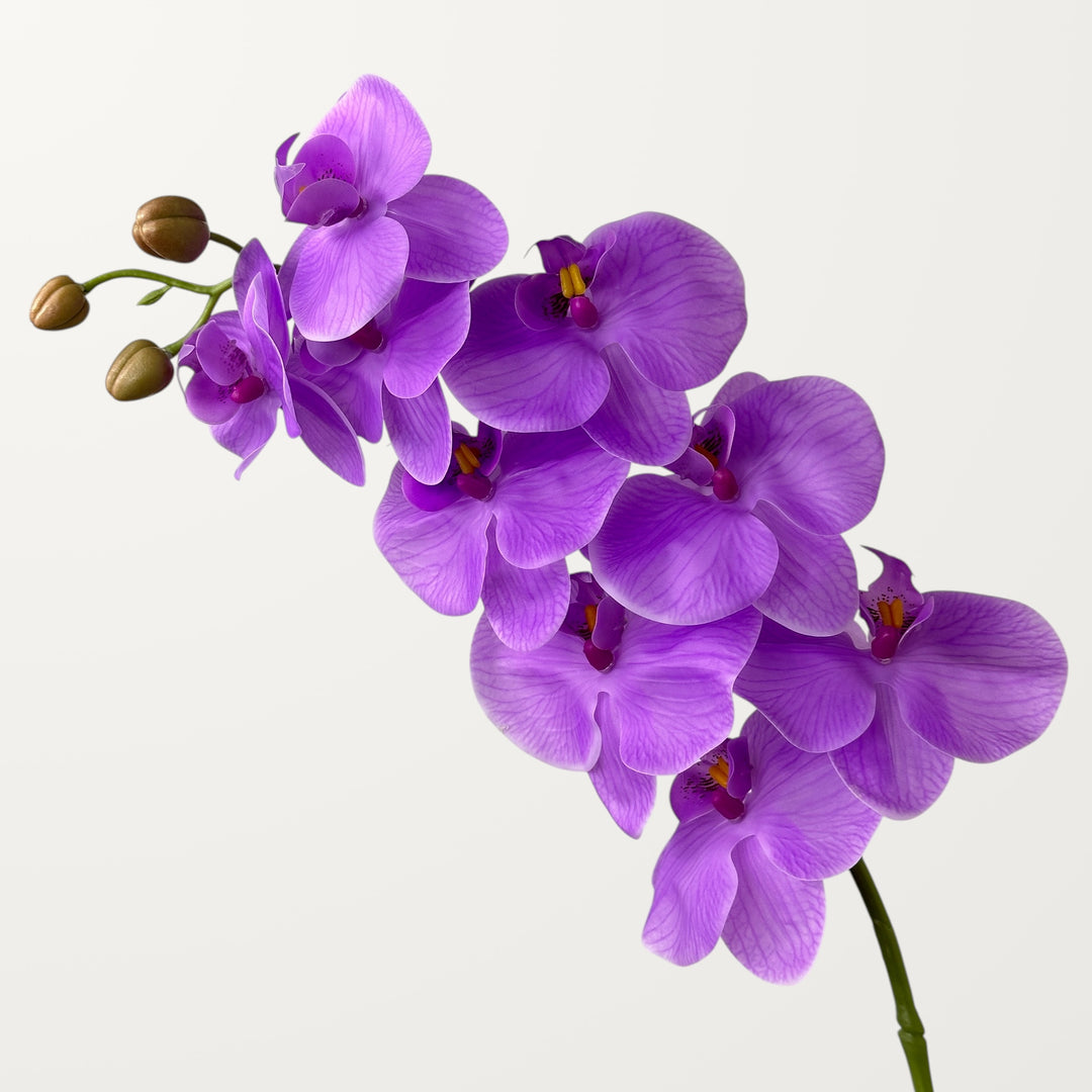 Phalaenopsis Orchid Large – Lavender (Real Touch)