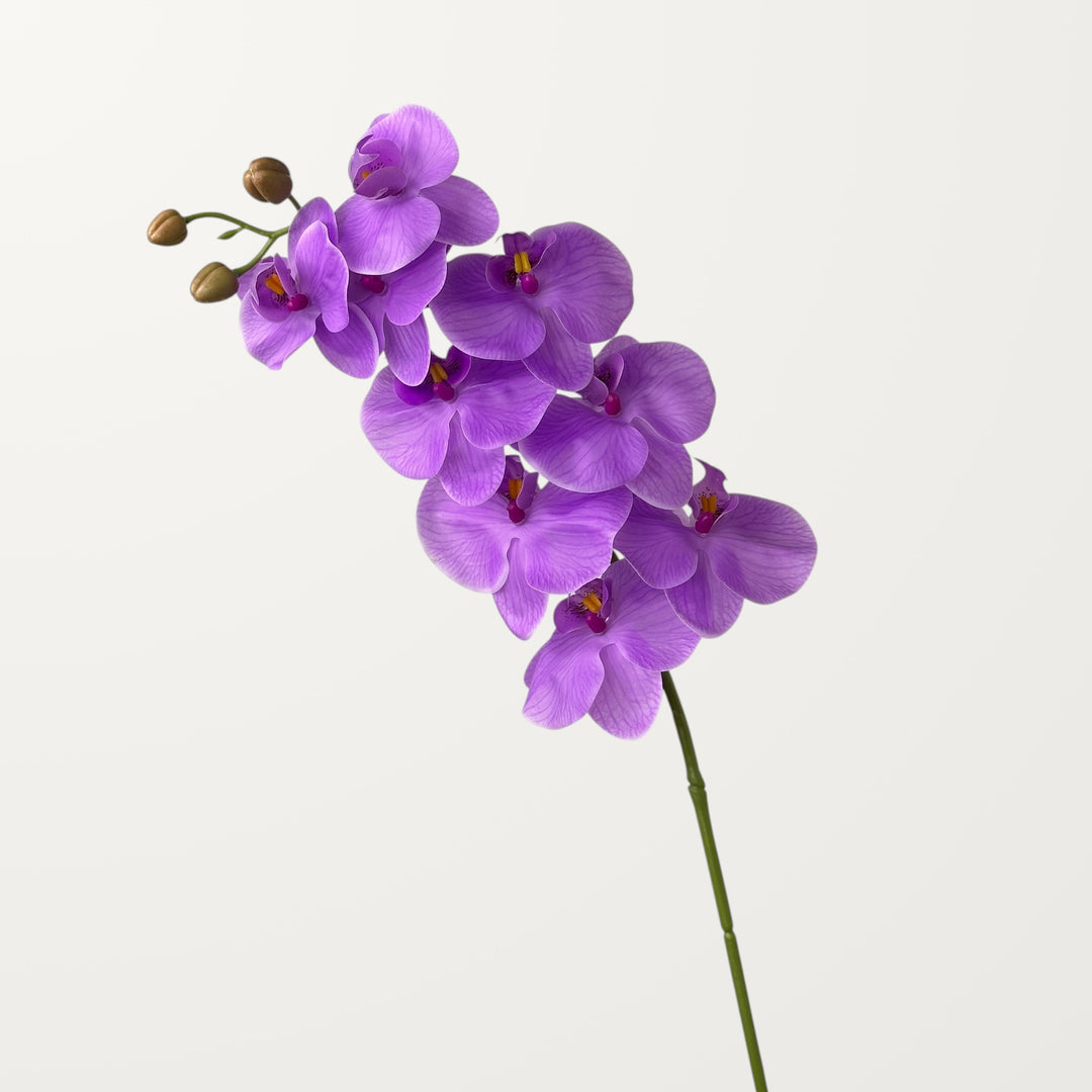 Phalaenopsis Orchid Large – Lavender (Real Touch) - view 3